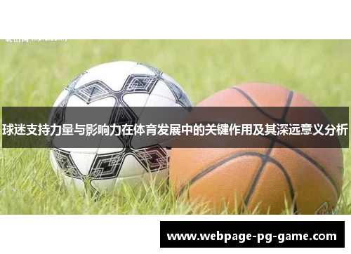 球迷支持力量与影响力在体育发展中的关键作用及其深远意义分析