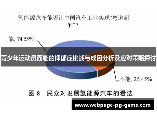 青少年运动员面临的抑郁症挑战与成因分析及应对策略探讨